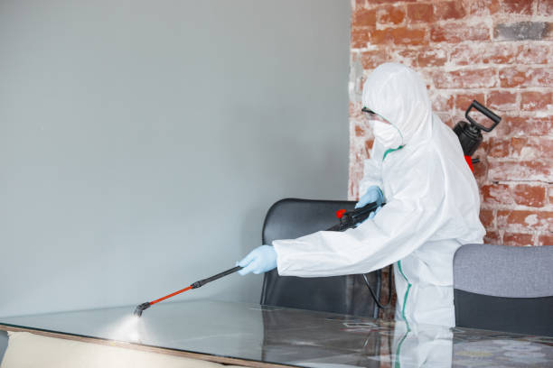 Woodacre, CA Mold Removal Company